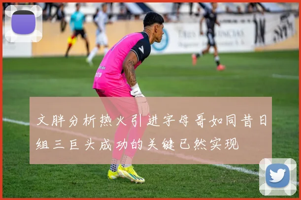 文胖分析热火引进字母哥如同昔日组三巨头成功的关键已然实现