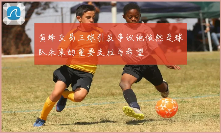 黄蜂交易三球引发争议他依然是球队未来的重要支柱与希望