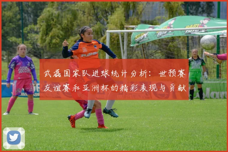 武磊国家队进球统计分析：世预赛友谊赛和亚洲杯的精彩表现与贡献
